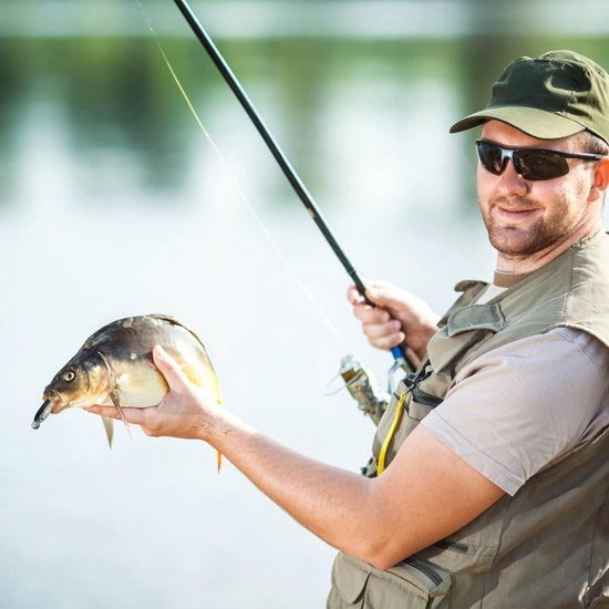 50 stuks plastic zacht vislokmiddel - levensechte gevorkte staart Minnow visaas voor baars crappie snoekbaarzen forel - zoutwater zoetwater van Aorace — afbeelding 3