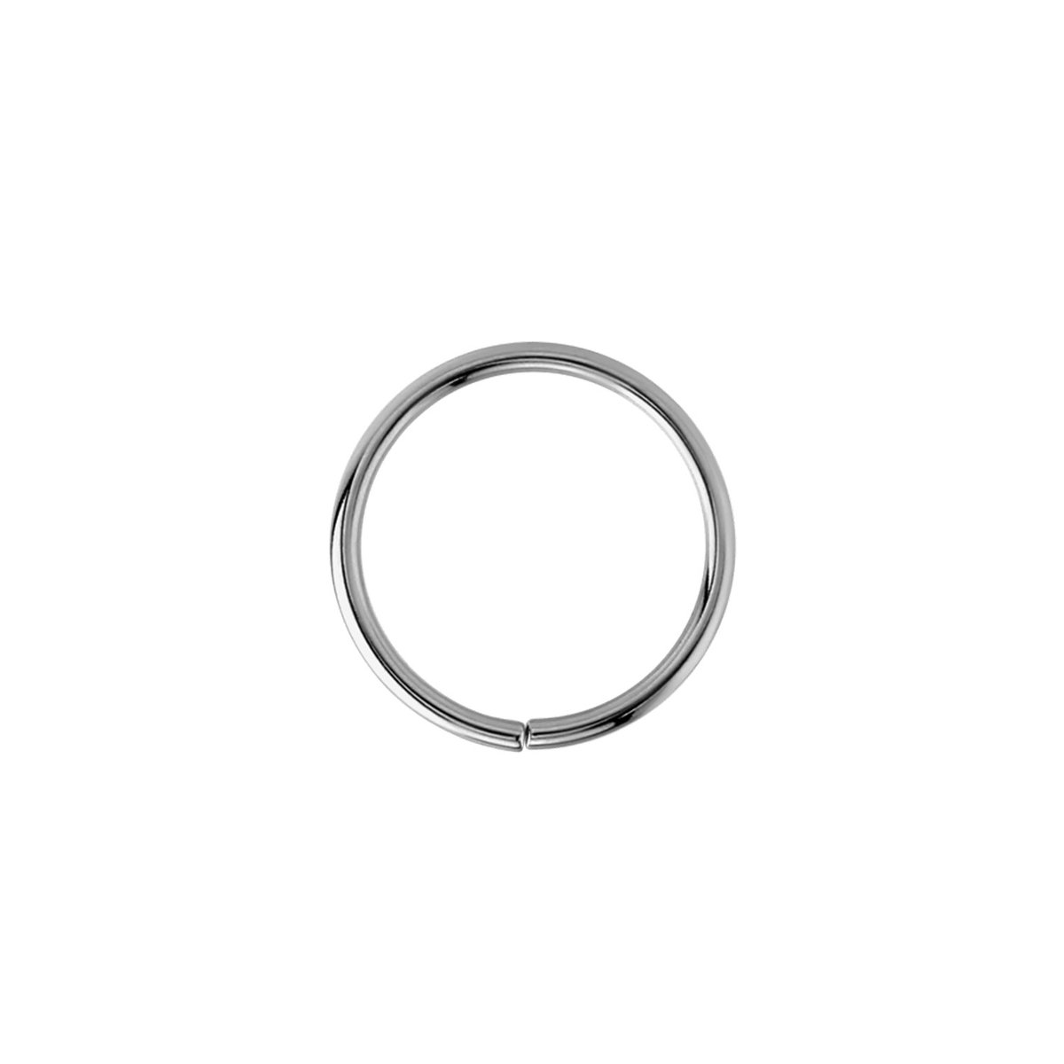 Diamday 6-delige neusring hoepel Faux neus piercing 316L chirurgisch staal nep septum lip geen-piercing oor navel lichaam sieraden 22G/20G/18G 6-8mm, 20G-8MM, Roestvrij staal