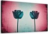 Zwart, roze, blauw, wit, groen