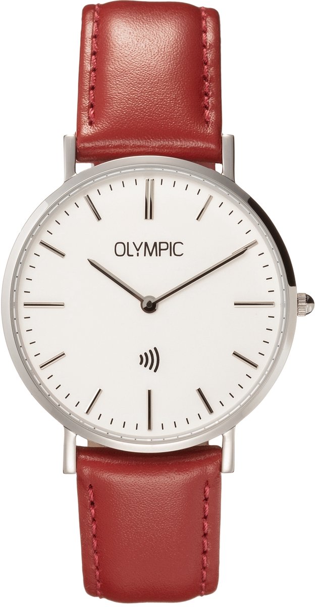 OL Paywatch Dms Stl. Leer Zilv. Idx