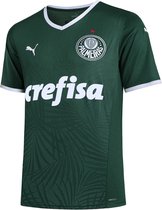 Palmeiras Shirt - Voetbalshirt Brazilië - Voetbalshirt Palmeiras - Thuisshirt 2023 - Maat L - Braziliaans Voetbalshirt - Unieke Voetbalshirts - Voetbal - Globalsoccershop