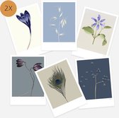 Ansichtkaart set - 12 kaarten - bloemen - blanco - botanisch - voorjaar - lente - zonder tekst - krokus - clematis - pauwenveer