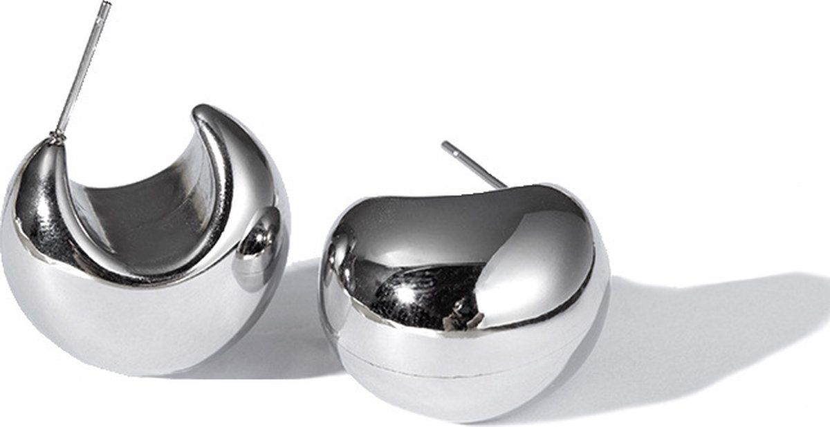 Lajetti - Stainless steel Zilverkleurig Oorknopjes Ringen - Bol Oorbel Silver Plated
