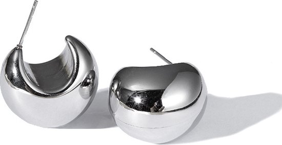 Lajetti - Stainless steel Zilverkleurig Oorknopjes Ringen - Bol Oorbel Silver Plated