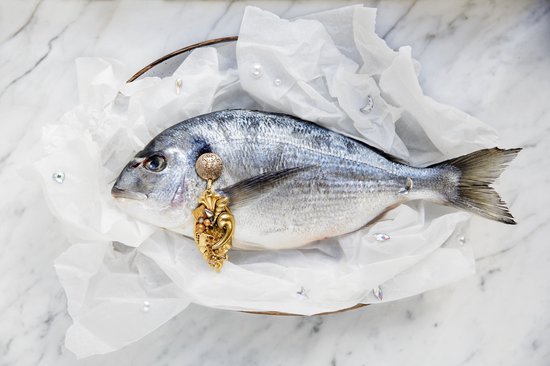 Fish Food- Kristal Helder Galerie kwaliteit Plexiglas 5mm.- Blind Aluminium Ophang-frame- Fotokunst- luxe wanddecoratie- Akoestisch en UV Werend- inclusief verzending