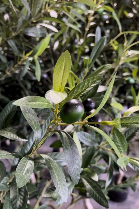 Olijfboom artificiel 120cm | Plante artificielle d'olive | Faux Olijfboom | Plante artificielle pour l'intérieur | Faux Olijfboom