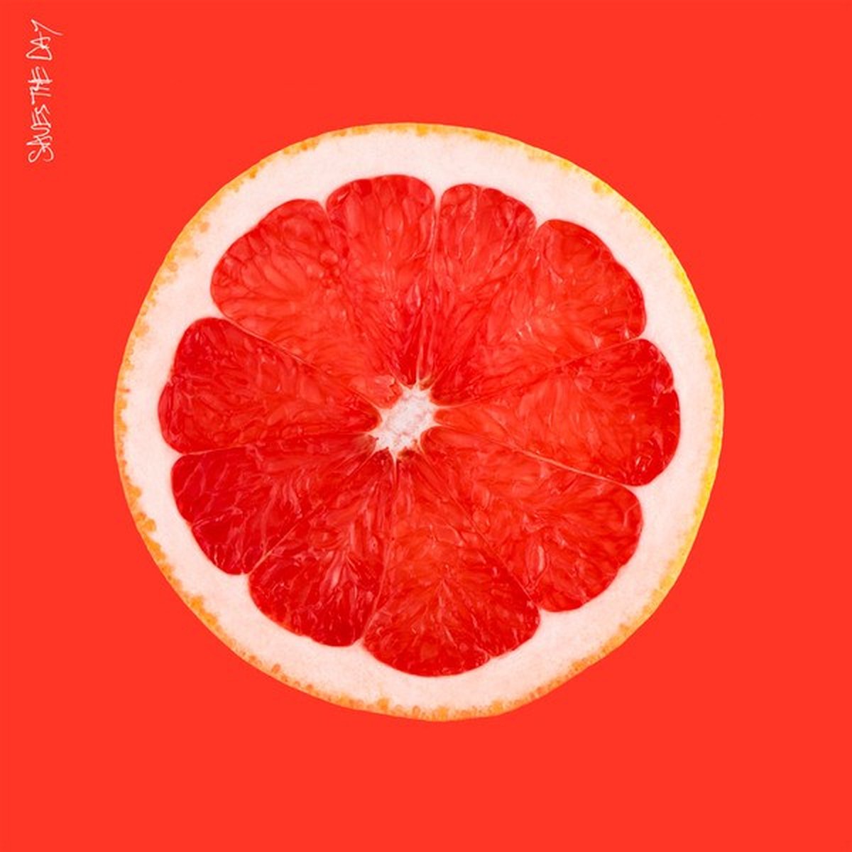Saves The Day - Saves The Day (LP)