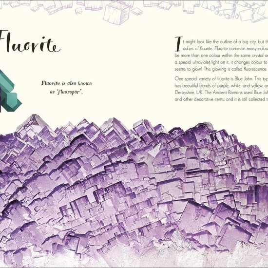 The Wonders of Nature