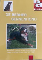 Over Dieren - De Berner Sennenhond