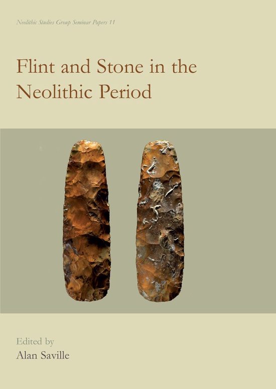 Flint and Stone in the Neolithic Period - cover
