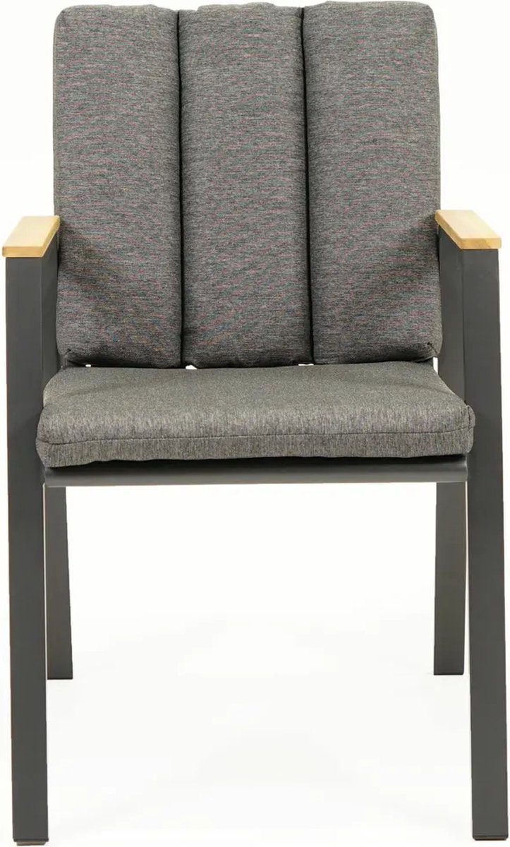 Stapelstoel Kunststof Leather Fauteuil Antraciet