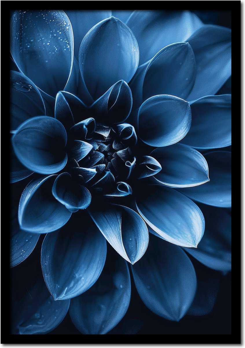 Plakkers Poster close up van een blauwe dahlia bloem - 70cm x 100cm - Slaapkamer - Woonkamer - Keuken Full-colour