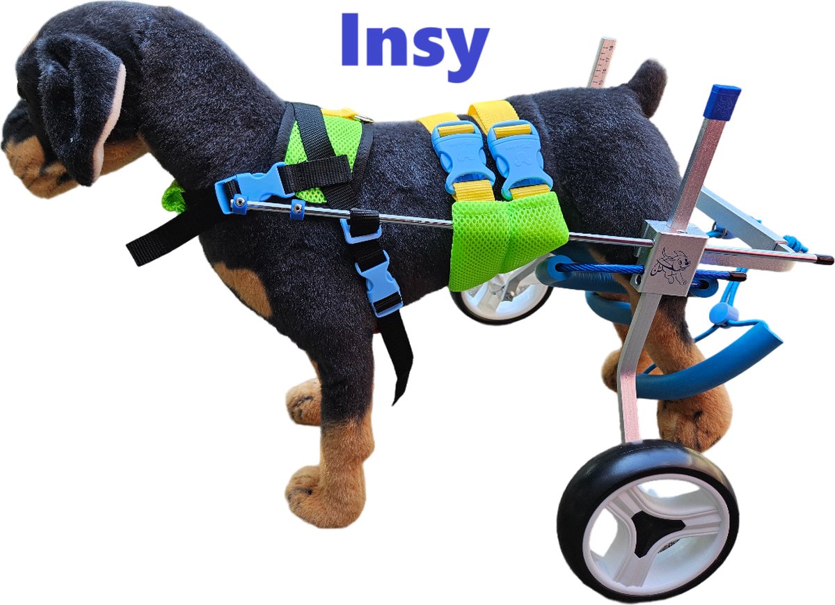 PEXEN Hondenrolstoel met wielen, Hondenrolstoel voor achterpoten, Huisdierenrolstoel voor achterpoten, Verstelbare wielen Hondenwagen/rolstoel voor Huisdieren/Honden, rolstoel voor gehandicapte PEXEN Hondenrolstoel met wielen, Hondenrolstoel voor achterpoten, Huisdierenrolstoel voor achterpoten, Verstelbare wielen Hondenwagen/rolstoel voor Huisdieren/Honden, rolstoel voor gehandicapte