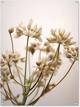 Tuinposter 90x120 cm - Tuindecoratie Droogbloemen - Beige - Wit - Planten - Poster voor in de tuin - Buiten decoratie - Schutting tuinschilderij - Tuindoek muurdecoratie - Wanddecoratie balkondoek