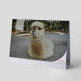 Huurdies - Alpaca Kalender - Jaarkalender 2025 - 35x24 - 300G ecopapier - Dubbelzijdig - Spiraalgebonden