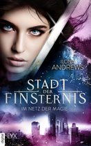 Kate-Daniels-Reihe - Stadt der Finsternis - Im Netz der Magie