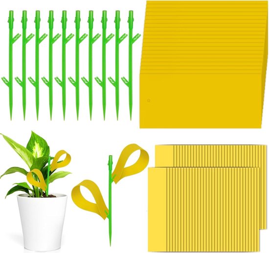 Pièges à mouches collants pour plantes - Autocollant pour piège à mouches des fruits