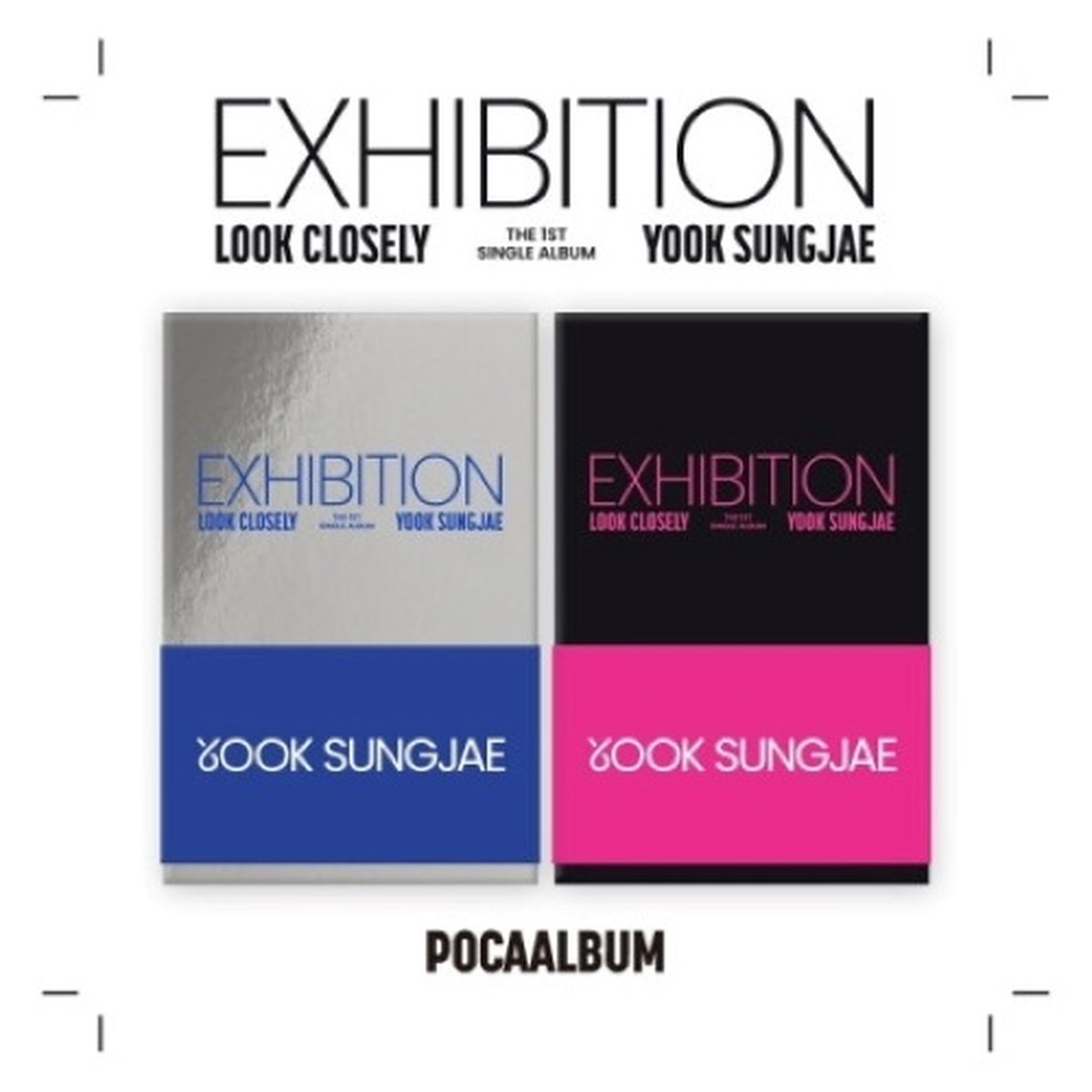 exhibition: look closely