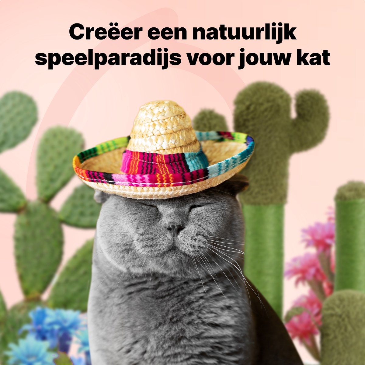 Jake and Jacky Krabpaal voor Katten Cactus Groen - Krabmeubel - met Kattenspeeltje - H 70, 48 en 22 cm – foto 4