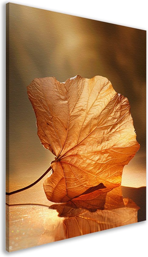 Blad schilderijen - Natuur wanddecoratie - Canvas schilderij Reflectie - Muurdecoratie landelijk - Schilderijen op canvas - Woondecoratie canvas 50x70 cm
