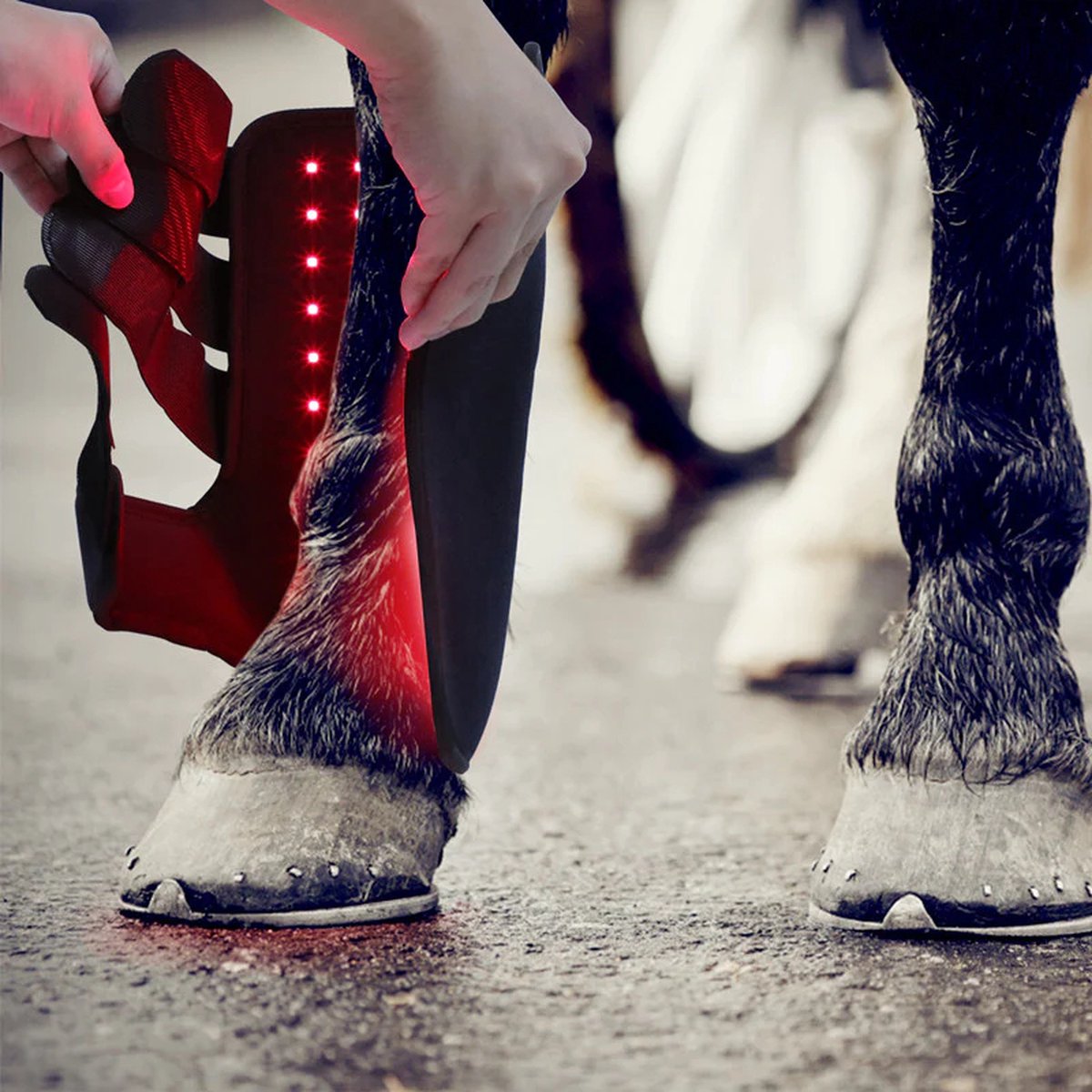 Equiled Rode licht Therapie Boots Voor Paarden RED LED THERAPY Peesblessures Paard Pijnverlichting Ongemakken Paard Verbeterde Bloedcirculatie 1 stuks