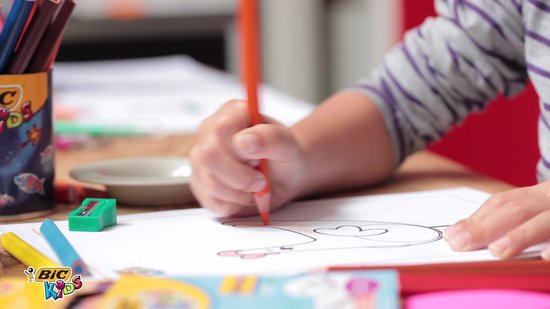 BIC Kids Ecolution Evolution - Kleurpotloden - Kinderen en volwassenen - Verschillende Kleuren - Potlood - 48 Stuks