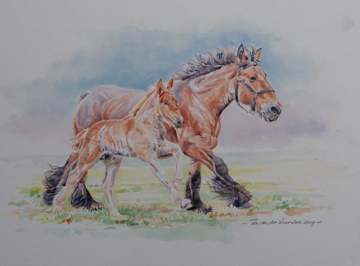 Trekpaarden schilderij TW35 - Foto - Ton van der Weerden - Fine Art Print op fotokwaliteit papier - 40 x 60 cm