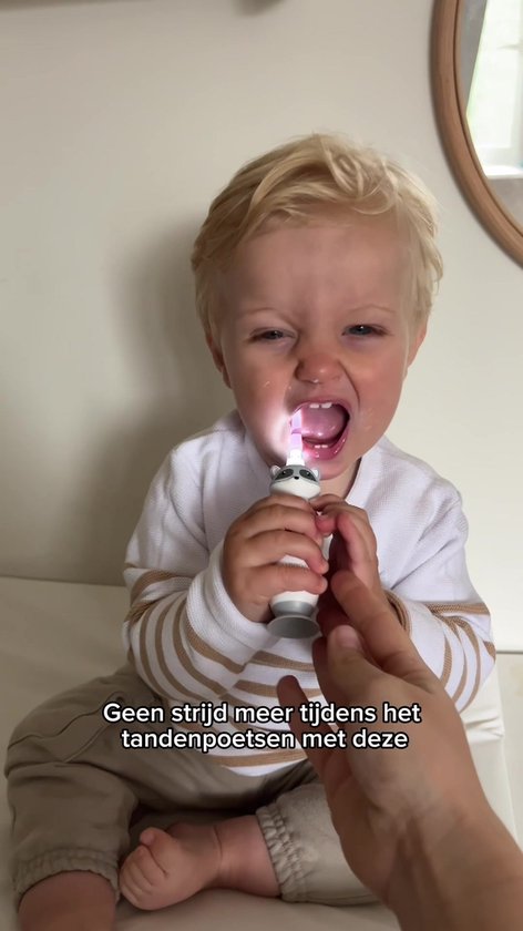 LUVION® 400S Raccoon - Sonische Elektrische Tandenborstel voor Baby en Peuter - 0 t/m 4 Jaar - Met Timer - Grijs