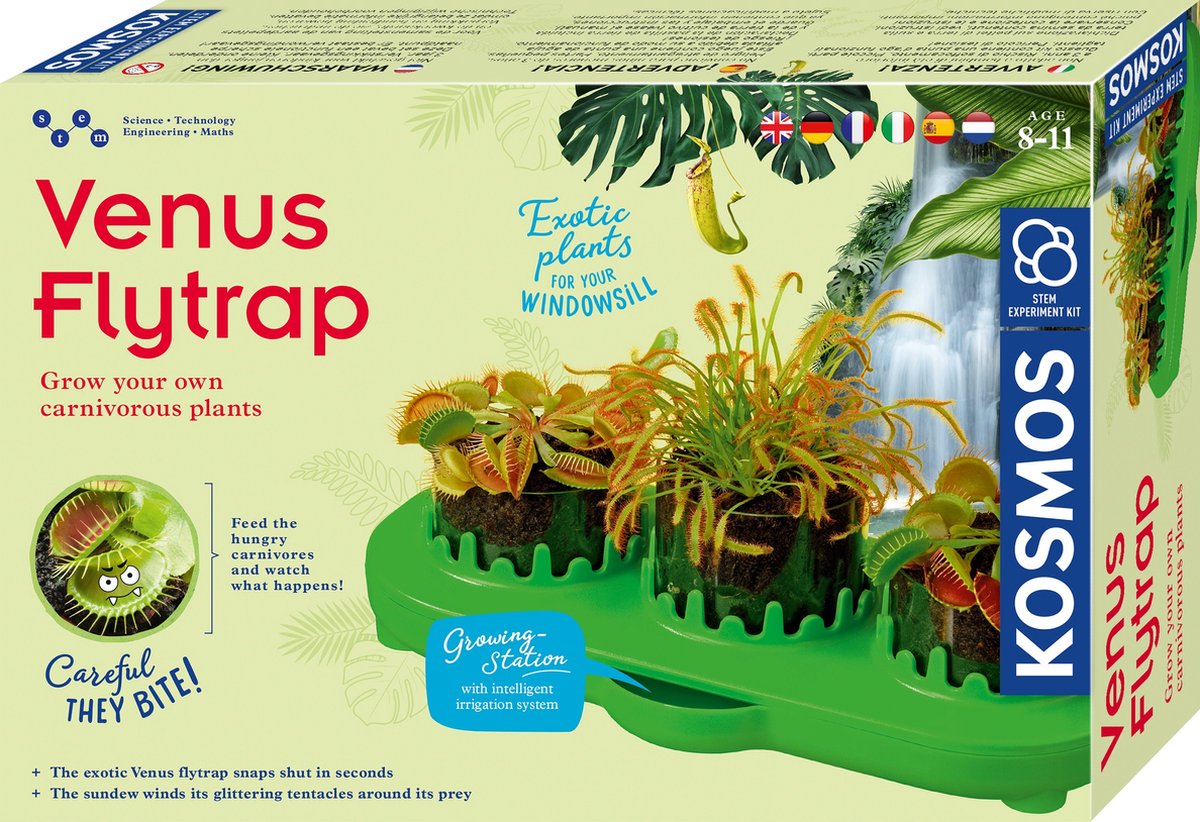 Venus Flytrap