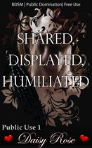 Public Use 1 -  Shared, Displayed, Humiliated