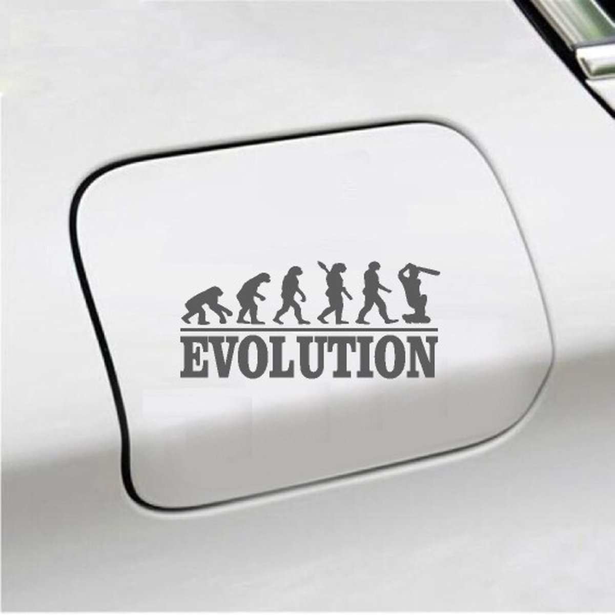 Bumpersticker - Evolution Cricket - 20x9.3 - Antraciet
