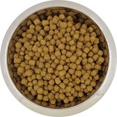 Yourdog dwerg- of toypoedel volwassen - 3 KG