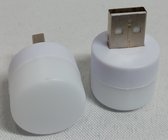 USB Licht - LED - USB Poort Plug In - Wit Licht - E-Reader - Powerbank - Laptop - Tablet - Bureau - Nachtlampje - Voordeel Set 2 Stuks