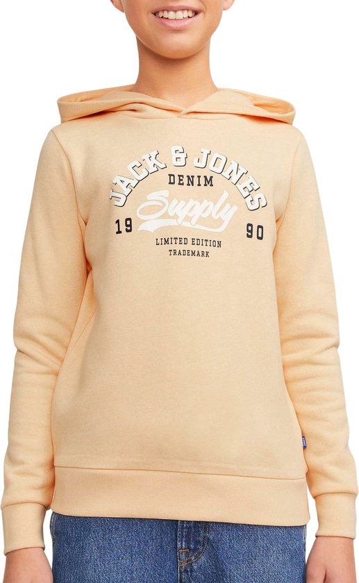 Foto: Jack jones junior jjelogo sweat hood 2 col 24 sn jnr jongens trui maat 128