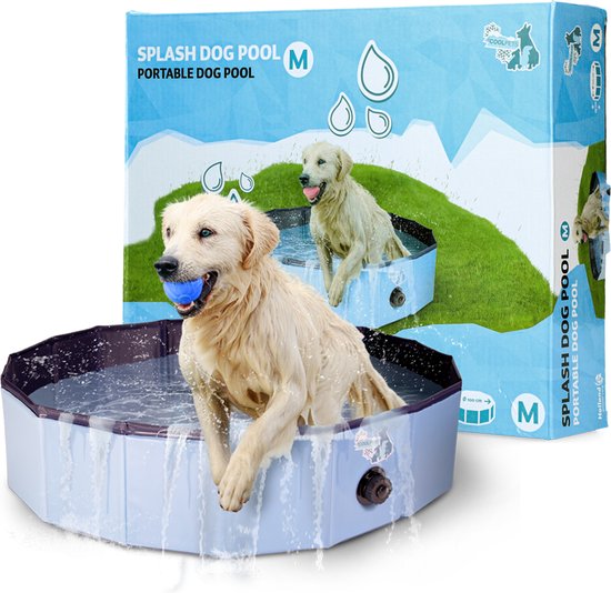 Zwembad voor honden
