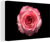 Canvas Schilderij Roos - Roze - Bladeren - 60x40 cm - Wanddecoratie