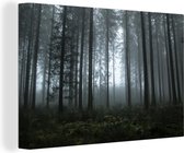 Canvas Schilderij Bos - Licht - Mist - 30x20 cm - Wanddecoratie