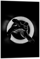 Dibond - Hand in Ringlamp (zwart/wit) - 60x90cm Foto op Aluminium (Met Ophangsysteem)