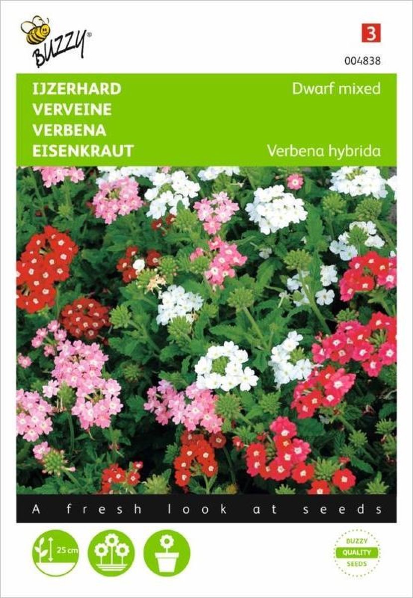 Ijzerhard mix - Verbena hybrida Compacta