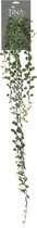 Kunsthanger Dischidia l105cm groen