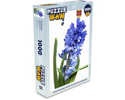 Giftig Vermeend wijsheid Puzzel Hyacint 1000 stukjes - Blauw gekleurde Hyacint | bol.com