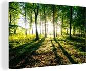 Canvas Schilderij Bos - Zon - Licht - Bomen - Natuur - Schilderijen op canvas - 30x20 cm - Wanddecoratie