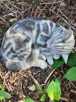 bol.com | Katten beeld kat grijs/lichtgrijs slapend van Farmwood 12x28x20 cm