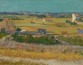 Vincent van Gogh, De oogst (La moisson), 1888 op canvas, afmetingen van dit schilderij zijn 100x150 cm