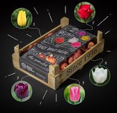 Tulpenbox “UNICORN TREASURE” by BOLT Amsterdam - Tulpenbollen in kistje – 100 stuks – Enkelbloeming – Prachtige mix van 5 kleuren – De hoogste kwaliteit & Vers uit eigen kwekerij -