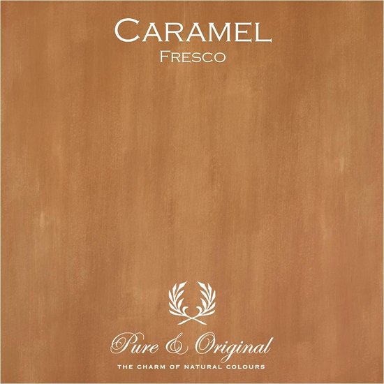 Eenvoud lade moe Pure & Original Fresco Kalkverf Caramel 2.5 L | bol.com