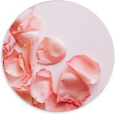 Forex Wandcirkel - Rozenblaadjes Roze - 70x70cm Foto op Wandcirkel (met ophangsysteem)
