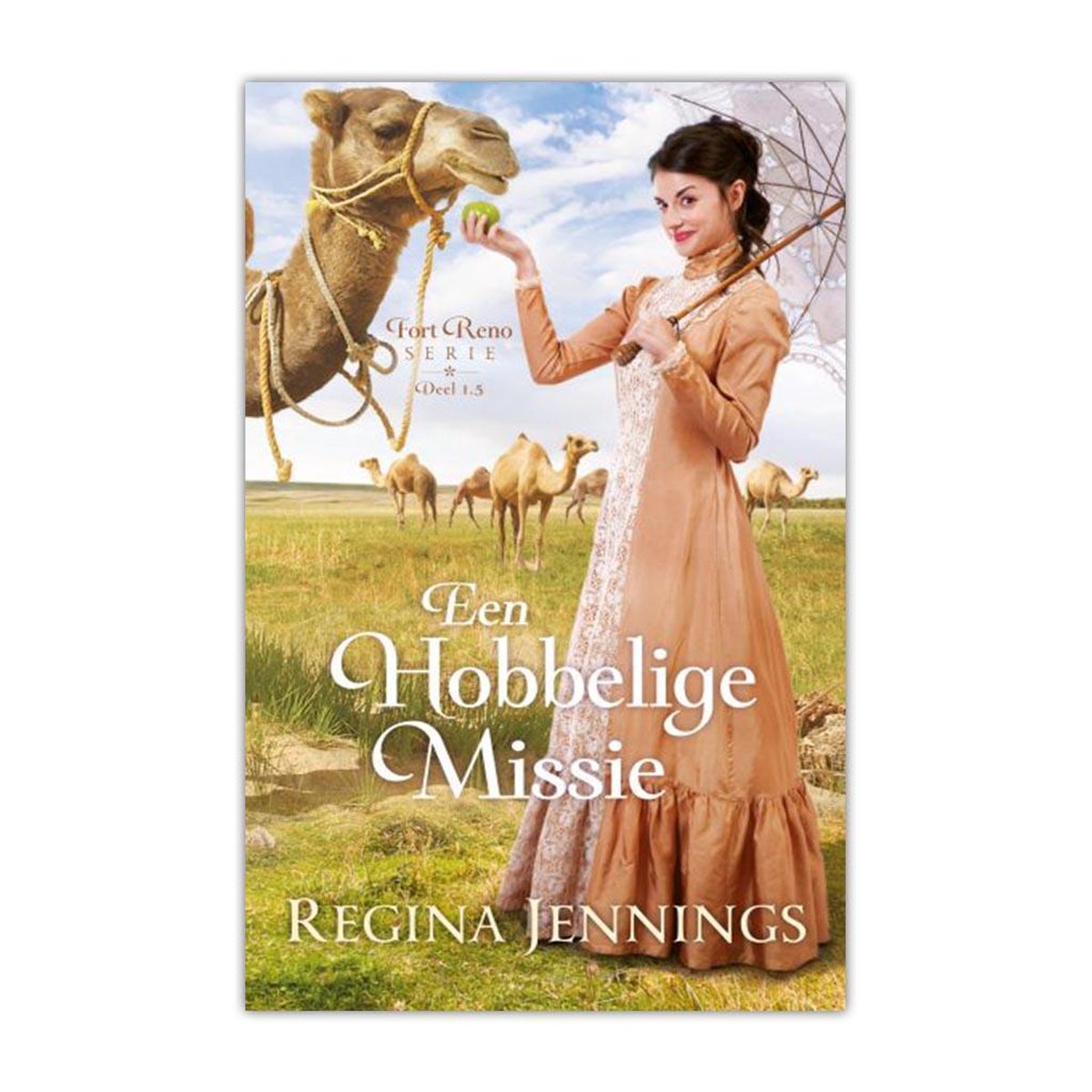 An Unforeseen Match by Regina Jennings An Unforeseen Match by Regina Jennings