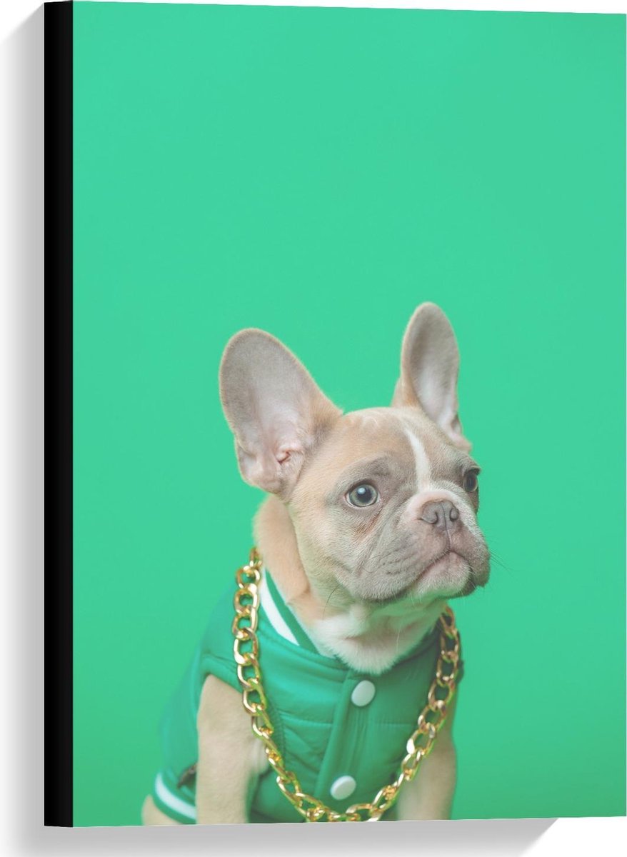 Canvas - Hond met Groen Pakje en Ketting - 40x60cm Foto op Canvas Schilderij (Wanddecoratie op Canvas)