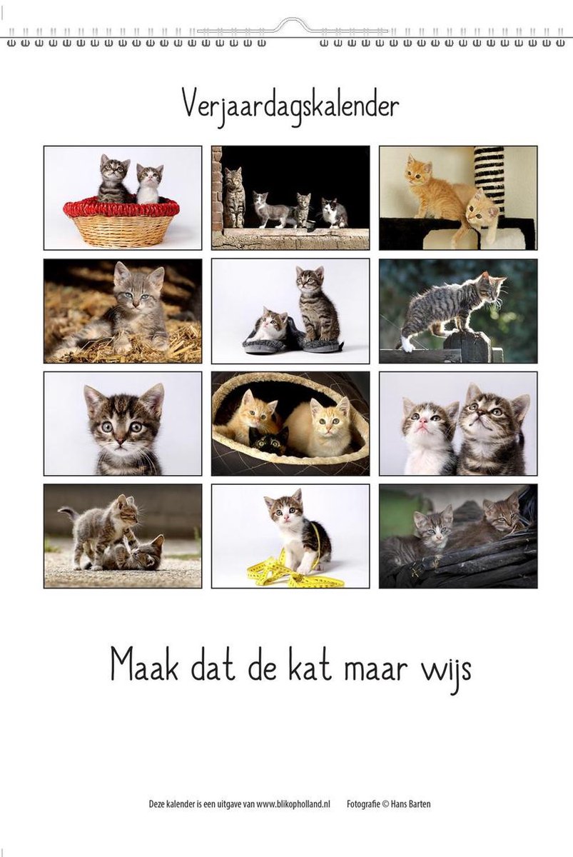 Blik op Holland Poezen & Spreuken Verjaardagskalender